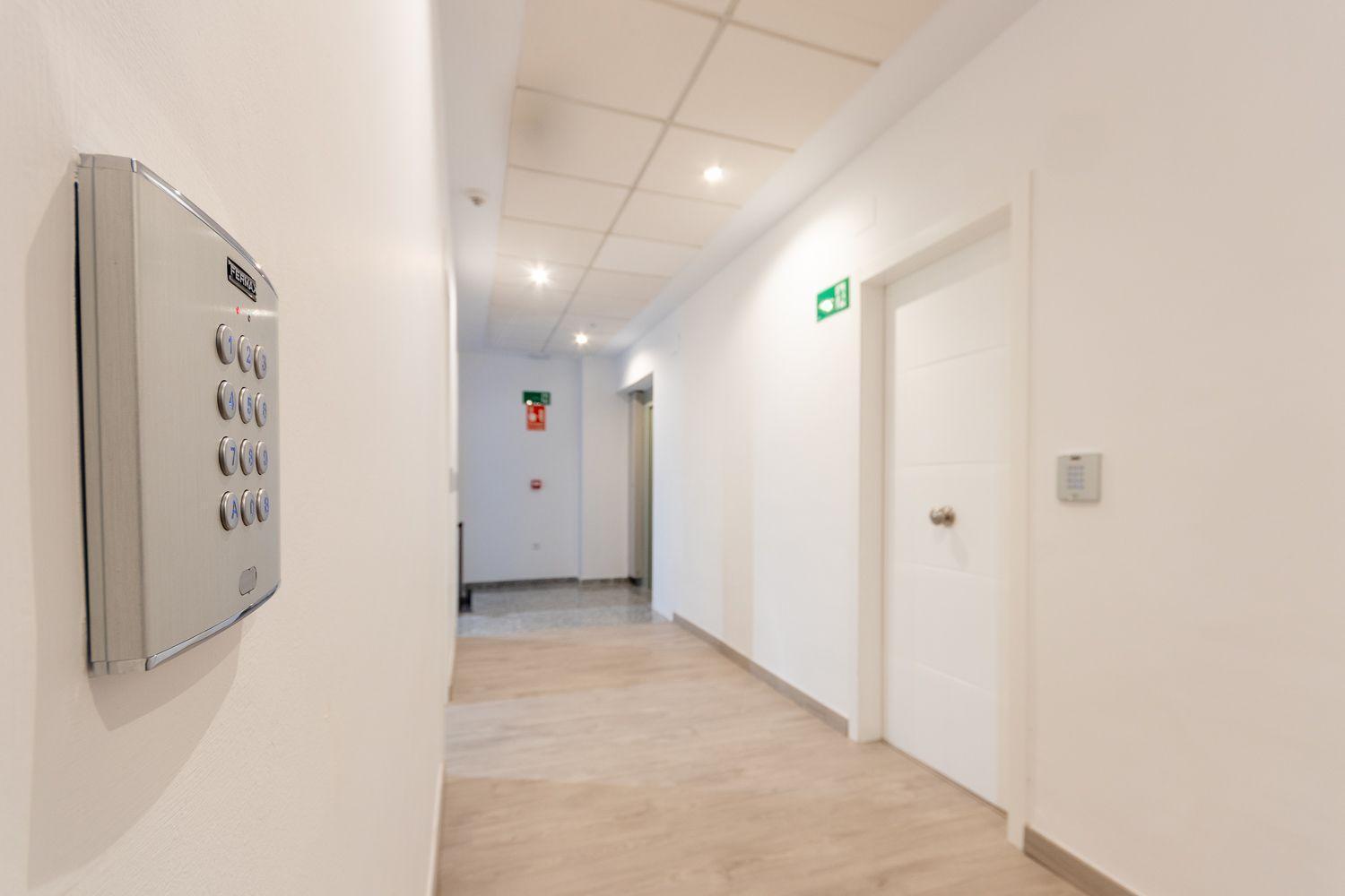 Apartamentos Basilica Santa Eulalia Parking Gratis Mérida Eksteriør billede